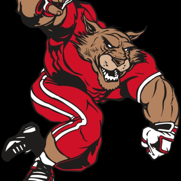 AR WILDCAT 32 RC Thumbnail