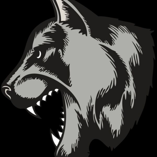 BAW COUG PANTH 06 RC Thumbnail