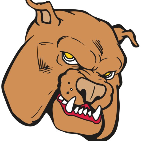 AR BDOG 41 RC Thumbnail