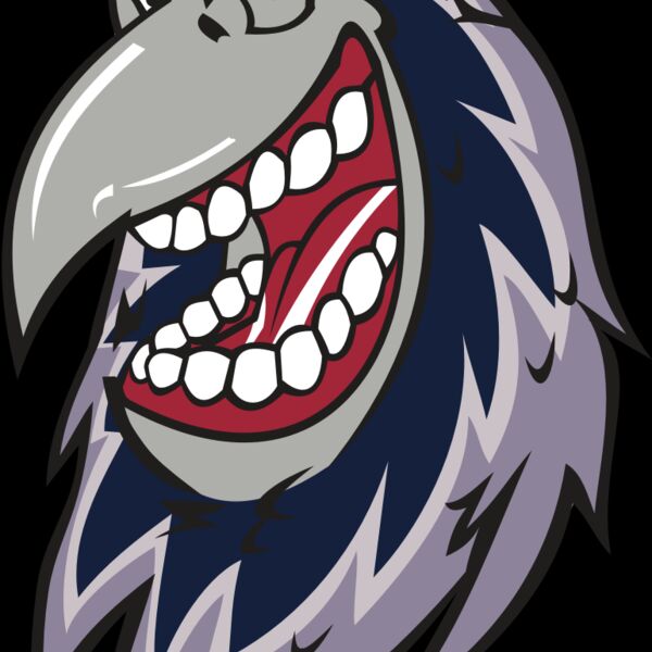 RAVEN HD0503 RQC Thumbnail